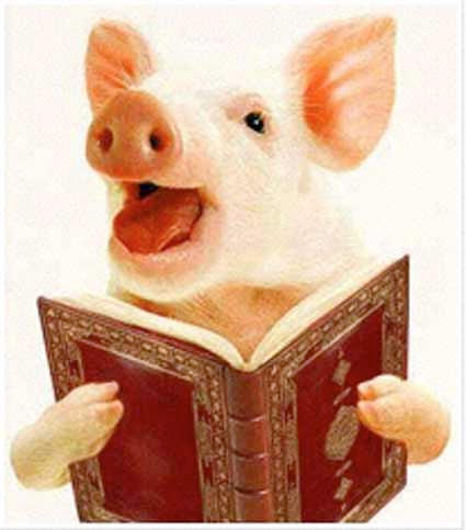 ÒAllah is een varken en zijn profeet is een homoÓ en ondertussen de Koran verbrand. Hoe groot denkt u dat de kans is dat ik 10 minuten later nog leef?